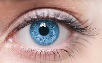 Nanoparticle Drug Delivery Systems Help in Ophthalmic Development