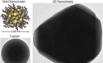 New Study Discovers Self-Assembling 2D and 3D Materials from Tiny Gold Nanoclusters