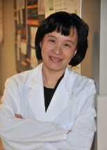 Wayne State Professor Awarded NSF I-Corps Grant to Enhance Nanowire Gas Sensors