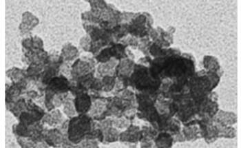 Exposure to Nanoparticles can Activate Dormant Viruses in Lung Tissue Cells