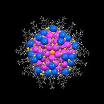 Self-Assembly Mechanisms Behind the Formation of the Largest Gold Nanoparticles Revealed