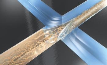 Study Throws Light on Artificial Production of Silk from Whey Protein