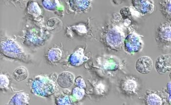 Innovative Approach for Screening the Most Promising Nanoparticles for Medicine