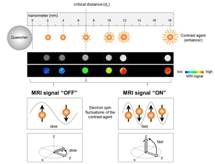 New Nano MRI Lamp May Help Overcome Limitations in MRI Diagnosis