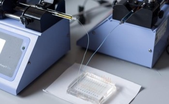 Safe Delivery of Therapeutic Genes by DNA Barcoding
