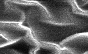 Nano-Level Lubricant Tuning Enhances Material for Surface Coatings and Electronic Devices