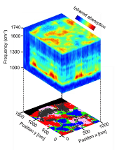 Research on Hyperspectral Infrared Nanoimaging