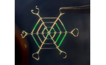 Researchers Develop Bioinspired Technique to Transform Natural Proteins into Robust Complex Materials
