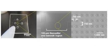 Pioneering Nanobiodevice Could Quickly Isolate Cancer Biomarkers with High Resolution