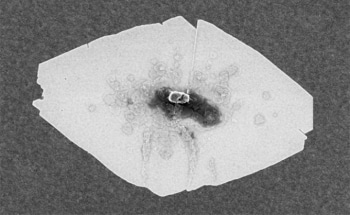 Researchers Develop New Process for Growing Zeolite Nanosheets