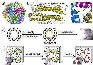 Research Reveals Inner Workings of Nanocages for Gold Particles