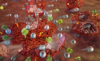 MIT Tethers Nanoparticles to Make Cancer Cells More Vulnerable to Treatment