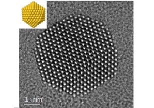 Study on Stabilization of Gold Nanoparticles by Small Organic Ions