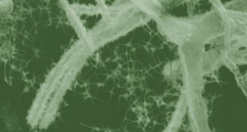 New Nanomaterial Degrades Laser Light's Brightness Without Degrading its Power