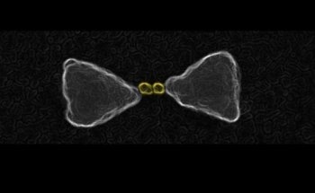 Scientists Engineer Nanomaterial for Efficient Harvesting of Sunlight