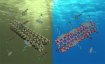 Study Reveals Potential of Reusable Carbon Nanotubes to be Used as Water Filter