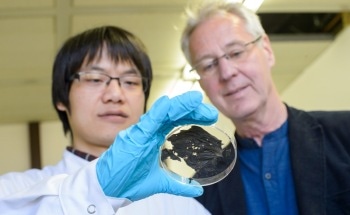 Innovative Superconducting Thin Nanomaterial Gets Magnets Levitating