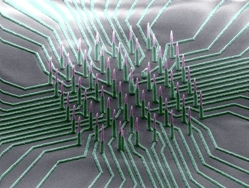 Non-Destructive Nanowire Technology Could Quicken Development of Drugs to Treat Neurological Diseases