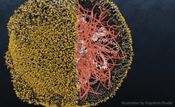 Nanoparticles Reprogram Immune Cells to Fight Cancer