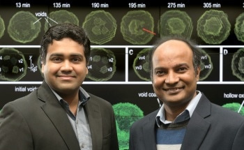 Secret Behind Formation of Hollowed Nanoparticles During Metal Oxidation Revealed