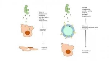 Engineered Nanosponges Could Help Treat Antibiotic-Resistant Infections