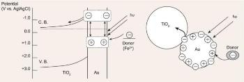 Researchers Review Ways to Enhance Metal-Induced Visible Light Photocatalysis