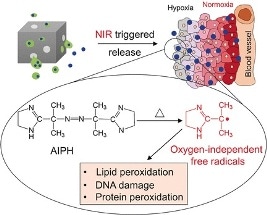 Nanoparcel to Destroy Hypoxic Cancer Cells