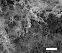 Research Shows Gas Can Bestow Laser-Induced Graphene with Super Properties