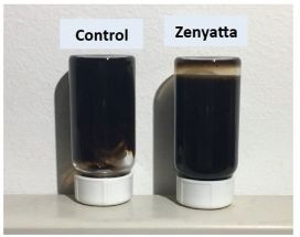 Zenyatta Ventures Announces Successful Testing of Graphene Oxide Material by U.S. Based Advanced Materials Company