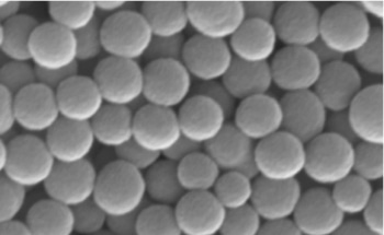 UC San Diego Research Team Develops Ultimate Natural Sunscreen