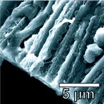Lithium Metal Batteries Improved by Using Hybrid Graphene Nanotubes as Anode