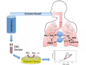 New Graphene-Based Sensor to Detect Inflammation in Lungs