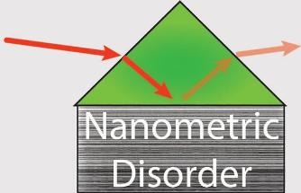 Applying Anderson Localization to Use Visible Light for Sensing Nanoscale Features