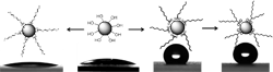 ESRI Scientists Develop New Class of Nanomaterials with Tunable Wettability
