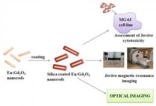 Indian Researchers Create Nanoparticle-Based Contrast Agent for Dual Modal Imaging of Cancer