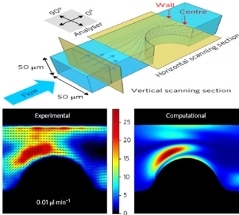 Europium-Doped Lanthanum Phosphate Nanorods Determine Fluid Flow in Complex Channels