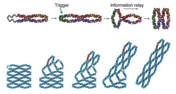 Switchable DNA Machines for Storing Information