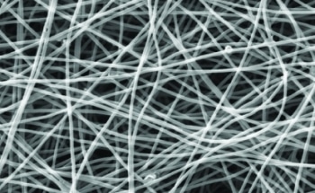 Wastewater Treatment by Using PEDOT-Coated Carbon Nanofiber Electrodes
