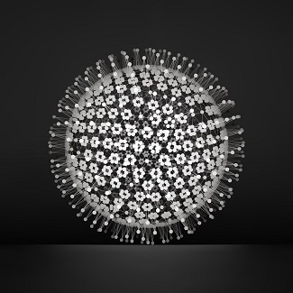 Injectable Plant-Based Nanoparticles Halt Development of Tumor