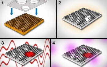 Researchers Produce Graphene Membrane for Dialysis Applications
