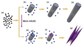 Researchers Report a Facile Route to Realize Controllable Synthesis of Te Nanostructures in Large Quantity