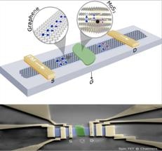 Tapping Electron Spin in Graphene to Develop Ambient-Temperature Field-Effect Transistor