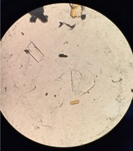 NanoGraphene Manufactures Its First Graphene in Sustainable Environmentally Friendly Plant