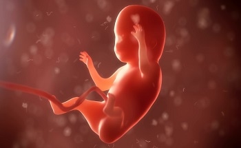 Researchers Develop NanoVelcro Microchips for Non-Invasive Prenatal Testing