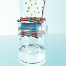 Porous Graphene-Based Membrane Holds Promise for Desalination of Water