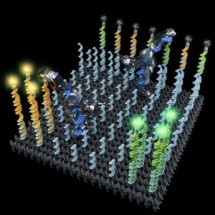 DNA Nanorobot Designed to Collect, Sort Molecules into Predefined Regions