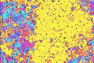 Research on the Rich Behavior of 2D Materials