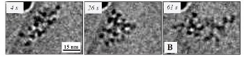Scientists Visualize Long Chain of Moving Molecules in Graphene Pockets