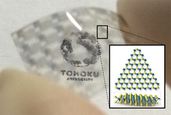 Semitransparent and Flexible Solar Cells Created Using Atomically Thin Sheet