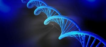 Study Shows 'Nano Footballs' Control Gene Behavior
